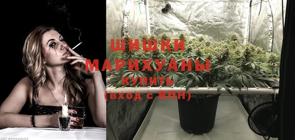 шишки Покровск